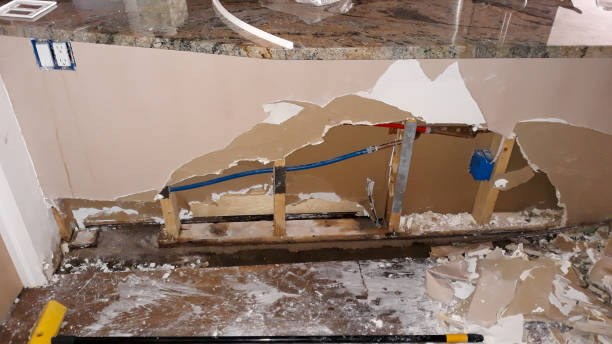 Best Flood damage cleanup  in Cartervle, IL