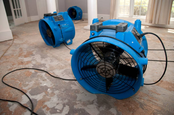 Best Professional water damage repair  in Cartervle, IL