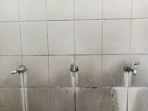 Best Commercial water damage restoration  in Cartervle, IL
