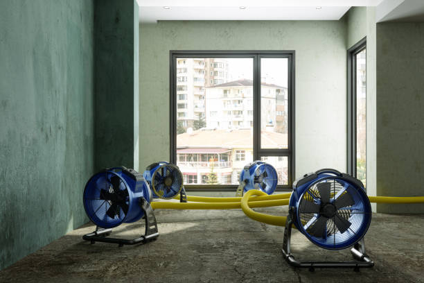 Best Water damage restoration near me  in Cartervle, IL