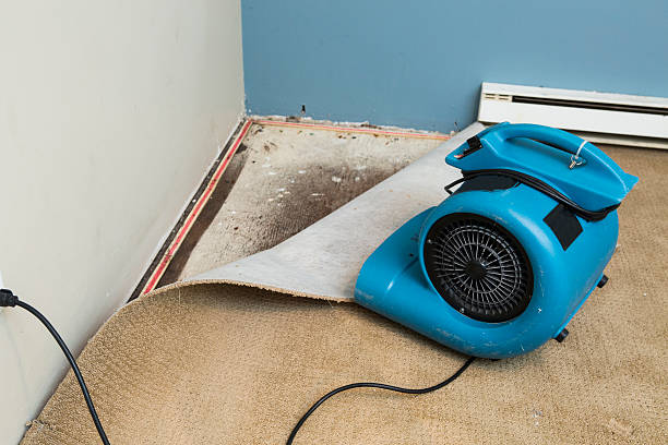 Best Emergency water damage restoration  in Cartervle, IL